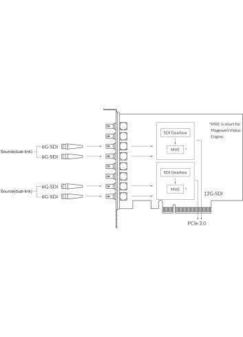 Magewell Pro Capture Dual SDI 4K Plus (11270) | Wewnętrzna karta PCIe (Gen2 x8), Quad Link, Dual Link, Single Link, 12G-SDI Mage
