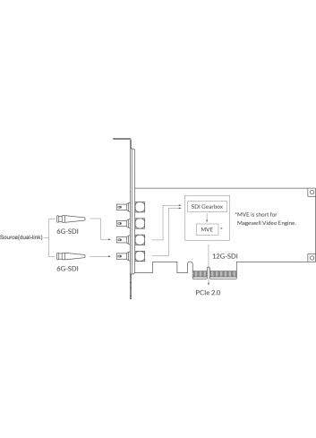 Magewell Pro Capture SDI 4K Plus (11180) | Wewnętrzna karta PCIe (Gen2 x4), Quad Link, Dual Link, Single Link, 12G-SDI Magewell 