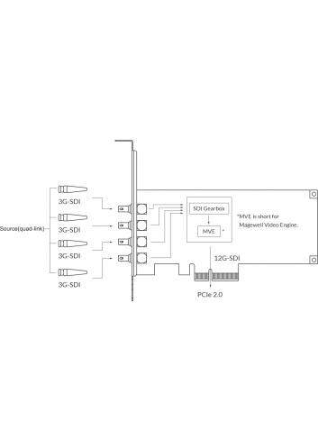 Magewell Pro Capture SDI 4K Plus (11180) | Wewnętrzna karta PCIe (Gen2 x4), Quad Link, Dual Link, Single Link, 12G-SDI Magewell 