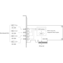 Magewell Pro Capture SDI 4K Plus (11180) | Wewnętrzna karta PCIe (Gen2 x4), Quad Link, Dual Link, Single Link, 12G-SDI Magewell 