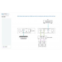 Blustream DAC13DB | Konwersja i downmix dla 5.1 Dolby Audio i DTS Audio Blustream - 5