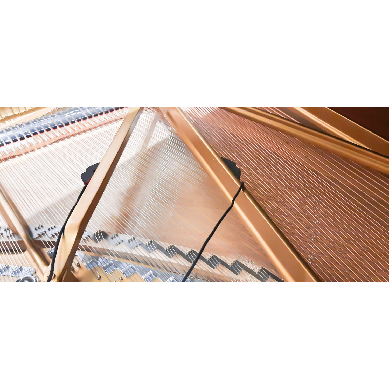 REMIC P6100 Dual | Zestaw dwóch mikrofonów do pianina i fortepianu REMIC - 6