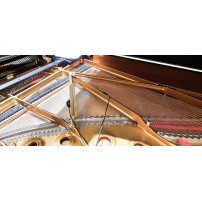 REMIC P6100 Dual | Zestaw dwóch mikrofonów do pianina i fortepianu REMIC - 7