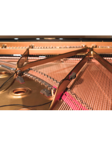 REMIC P6100 Triple | Zestaw trzech mikrofonów do pianina i fortepianu REMIC - 1