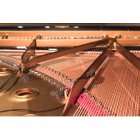 REMIC P6100 Triple | Zestaw trzech mikrofonów do pianina i fortepianu REMIC - 3