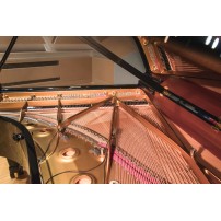 REMIC P6100 Triple | Zestaw trzech mikrofonów do pianina i fortepianu REMIC - 4