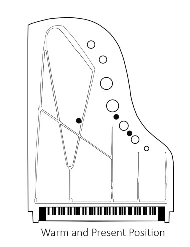 REMIC P6100 Triple | Zestaw trzech mikrofonów do pianina i fortepianu REMIC - 15