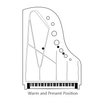 REMIC P6100 Triple | Zestaw trzech mikrofonów do pianina i fortepianu REMIC - 15