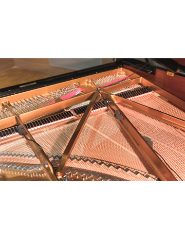 REMIC P6100 Triple | Zestaw trzech mikrofonów do pianina i fortepianu REMIC - 9