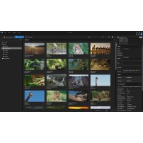 EDIUS 11 Second Activation Option | Aktywacja oprogramowania na drugim komputerze Grass Valley - 5