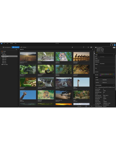 EDIUS 11 EDU | Profesjonalne oprogramowanie do edycji materiału audio-wideo, wersja cyfrowa (licencja) Grass Valley - 5
