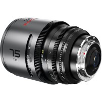 DZOFILM Pavo 2x Anamorphic 75mm T2.1 PL/EF (S35) Neutral DZOFILM - 4
