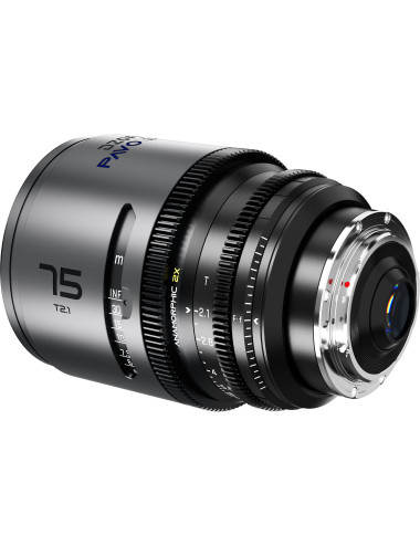 DZOFILM Pavo 2x Anamorphic 75mm T2.1 PL/EF (S35) Blue DZOFILM - 4