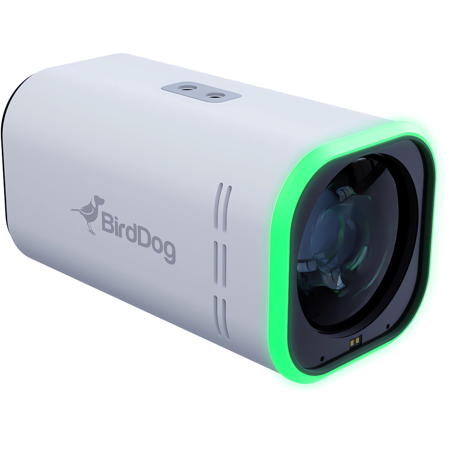copy of BirdDog MAKI Ultra 12x Black | Kamera blokowa 12x Zoom, 4K 60p Streaming, NDI|HX3, USB-C, HDMI BirdDog - 1