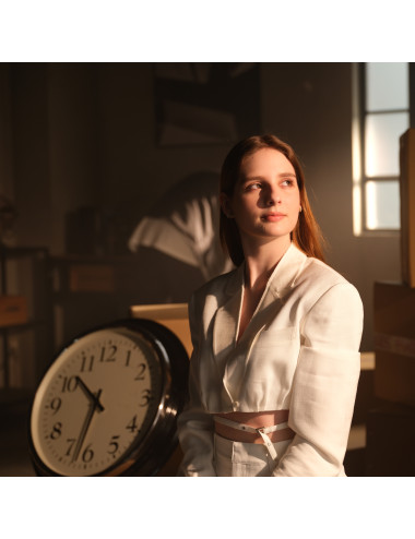 copy of Nanlite FS-300C | Studyjna lampa LED Spot Light RGBW, 2700-7500K, 300W Nanlite - 16