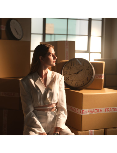 copy of Nanlite FS-300C | Studyjna lampa LED Spot Light RGBW, 2700-7500K, 300W Nanlite - 14