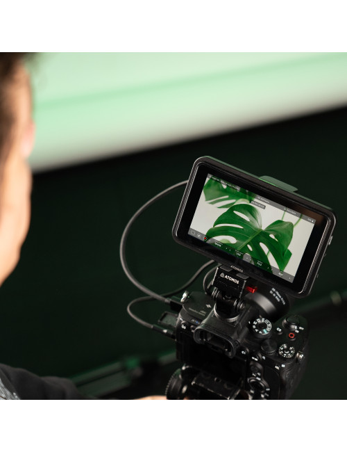 Atomos Shinobi II | Monitor podglądowy, HDMI, 5.2", 1500nit, 4K DCI, Kontrola kamer przez USB Atomos - 10