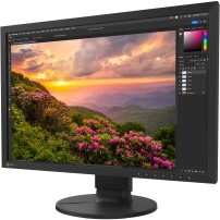 EIZO ColorEdge CS2400S | Monitor do edycji wideo i fotografii 24.1", 1920x1200 (16:10), IPS EIZO - 4