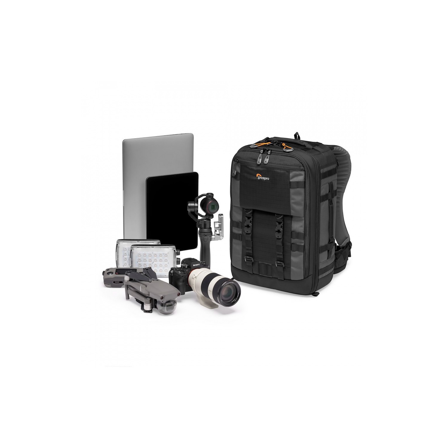 Lowepro Pro Trekker BP 350 AW II GL