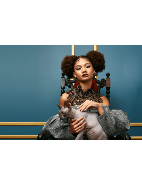 Elinchrom ELC 500 / 500 - Dual Monolight Kit Elinchrom - 5