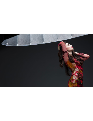 Elinchrom Litemotiv Para Softbox 190cm Elinchrom - 8
