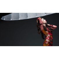 Elinchrom Litemotiv Para Softbox 190cm Elinchrom - 8