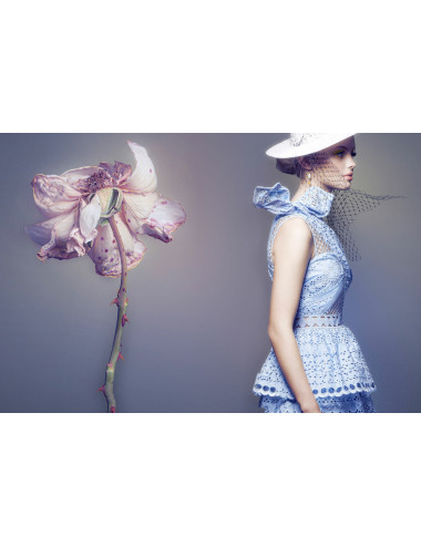 Elinchrom ELC 125 / 125 - Dual Monolight Kit Elinchrom - 10