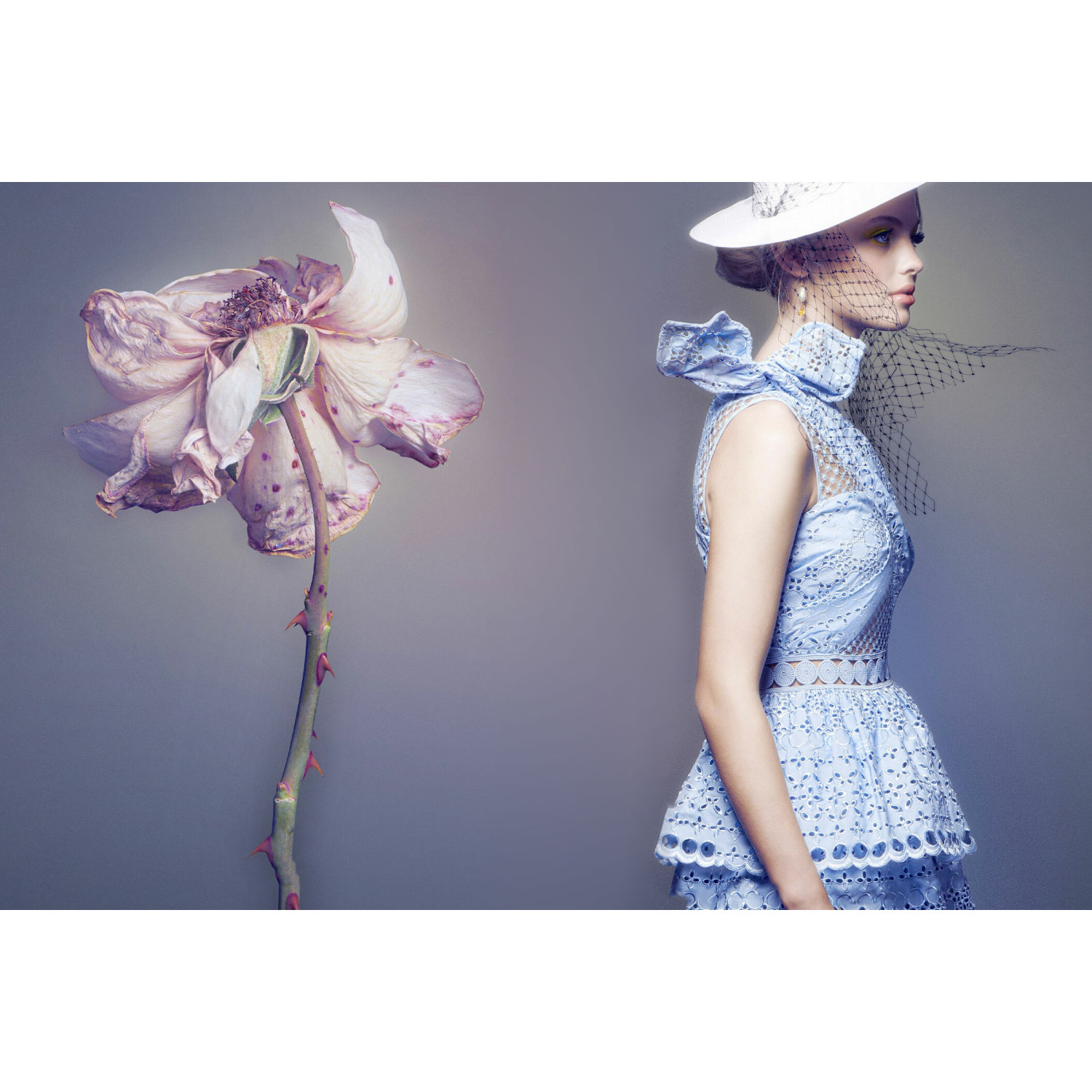 Elinchrom ELC 125 / 125 - Dual Monolight Kit Elinchrom - 10