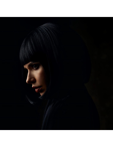 Elinchrom ELC 500 Studio Portrait Kit Elinchrom - 7