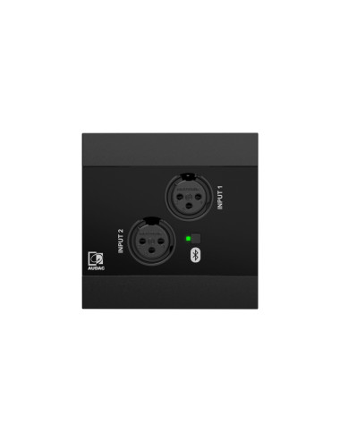 AUDAC NWP220/B