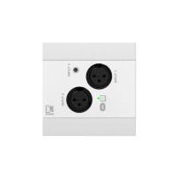 AUDAC NWP320/W