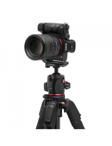 Manfrotto MK055XPRO3-Q6T Manfrotto - 5