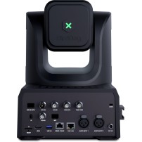 BirdDog XL Ultra Black BirdDog - 2