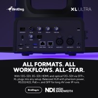 BirdDog XL Ultra Black BirdDog - 9