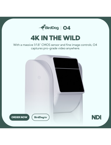BirdDog O4 Outdoor Grey BirdDog - 13
