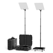 Desview TP300