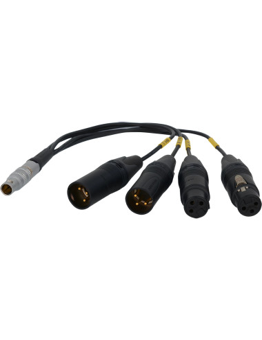 Bolin BLA-10 LEMO Breakout Cable Red's Music - 1