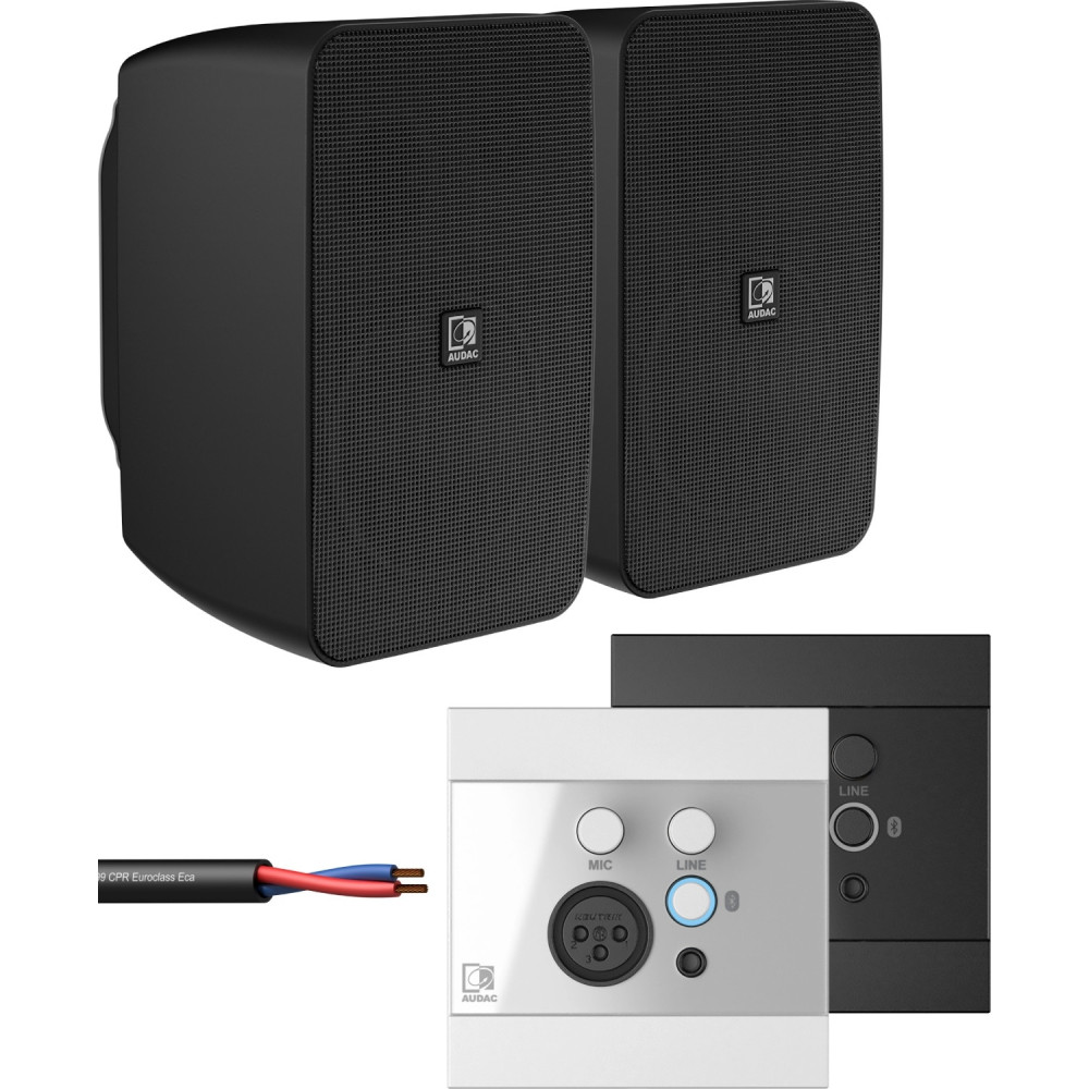 Zestaw nagłośnienia do 36m2 AUDAC ARES5A Bluetooth