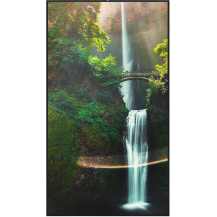 Hisense 55WH80F