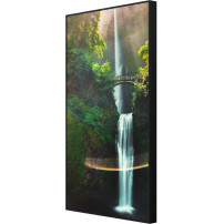 Hisense 55WH80F