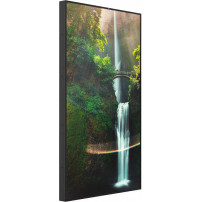Hisense 55WH80F