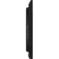 Hisense 43DM66D