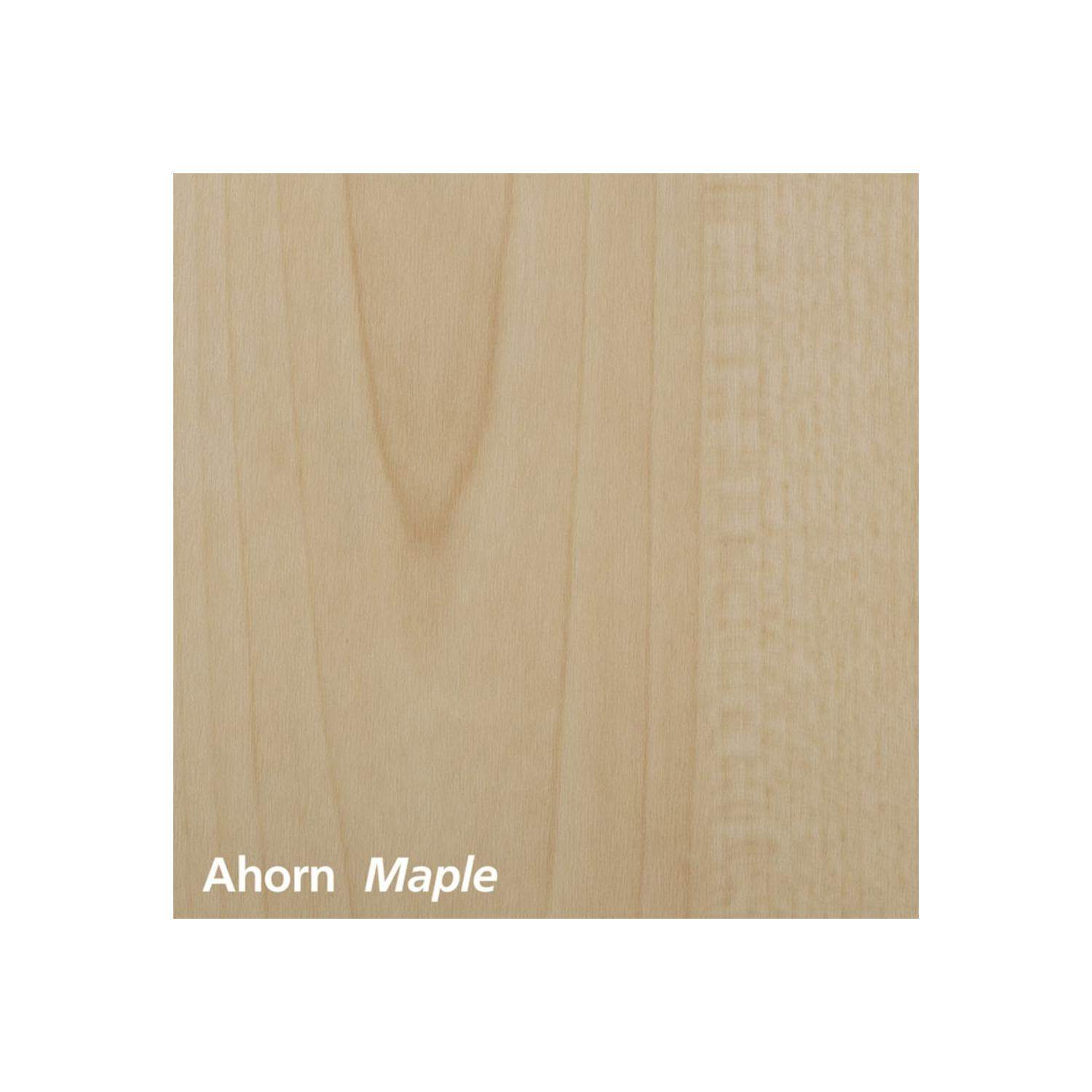 Monacor SPEECH-500/GR | Mównica z wejściami mikrofonowymi i aktywnym nagłośnieniem Monacor - 25