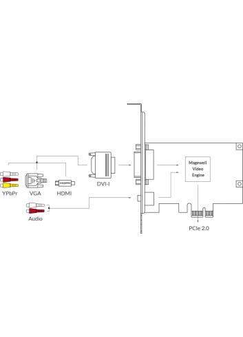 Magewell Pro Capture DVI (11030) | Wewnętrzna karta przechwytująca PCIe (Gen2 x1), DVI, VGA, Component, HDMI, Mic In Magewell - 