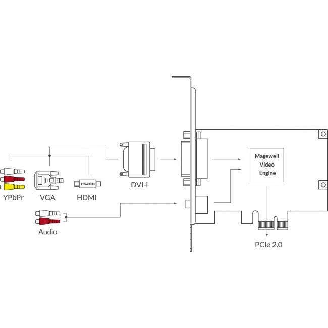 Magewell Pro Capture DVI (11030) | Wewnętrzna karta przechwytująca PCIe (Gen2 x1), DVI, VGA, Component, HDMI, Mic In Magewell - 