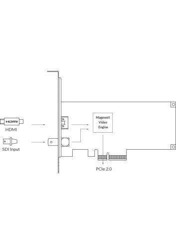 Magewell Pro Capture AIO 4K Plus (11140) | Wewnętrzna karta przechwytująca PCIe (Gen2 x4), x1 HDMI 2.0, x1 6G-SDI Magewell - 4