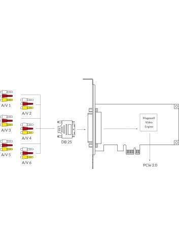 Magewell Pro Capture Hexa CVBS (11250) | Wewnętrzna karta przechwytująca, PCIe (Gen2 x1), DB25, x6 CVBS (Audio + Video), 720x576
