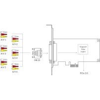 Magewell Pro Capture Hexa CVBS (11250) | Wewnętrzna karta przechwytująca, PCIe (Gen2 x1), DB25, x6 CVBS (Audio + Video), 720x576