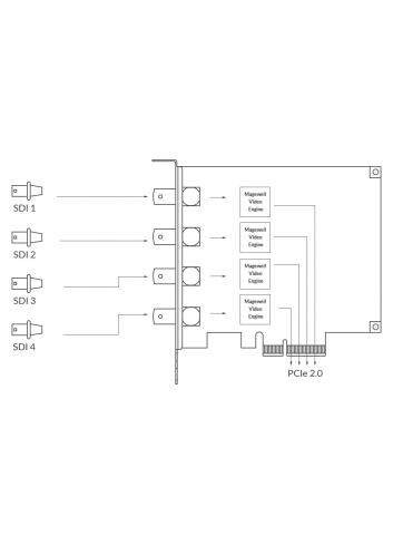 Magewell Pro Capture Quad SDI (11090) | Wewnętrzna karta przechwytująca PCIe (Gen2 x4), x4 SDI In (BNC) Magewell - 4