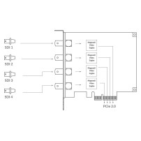 Magewell Pro Capture Quad SDI (11090) | Wewnętrzna karta przechwytująca PCIe (Gen2 x4), x4 SDI In (BNC) Magewell - 4
